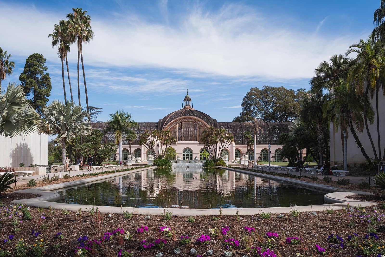 Lily pond and Botanical Building in Balboa Park, San Diego, with purple flowers in the foreground and palm trees