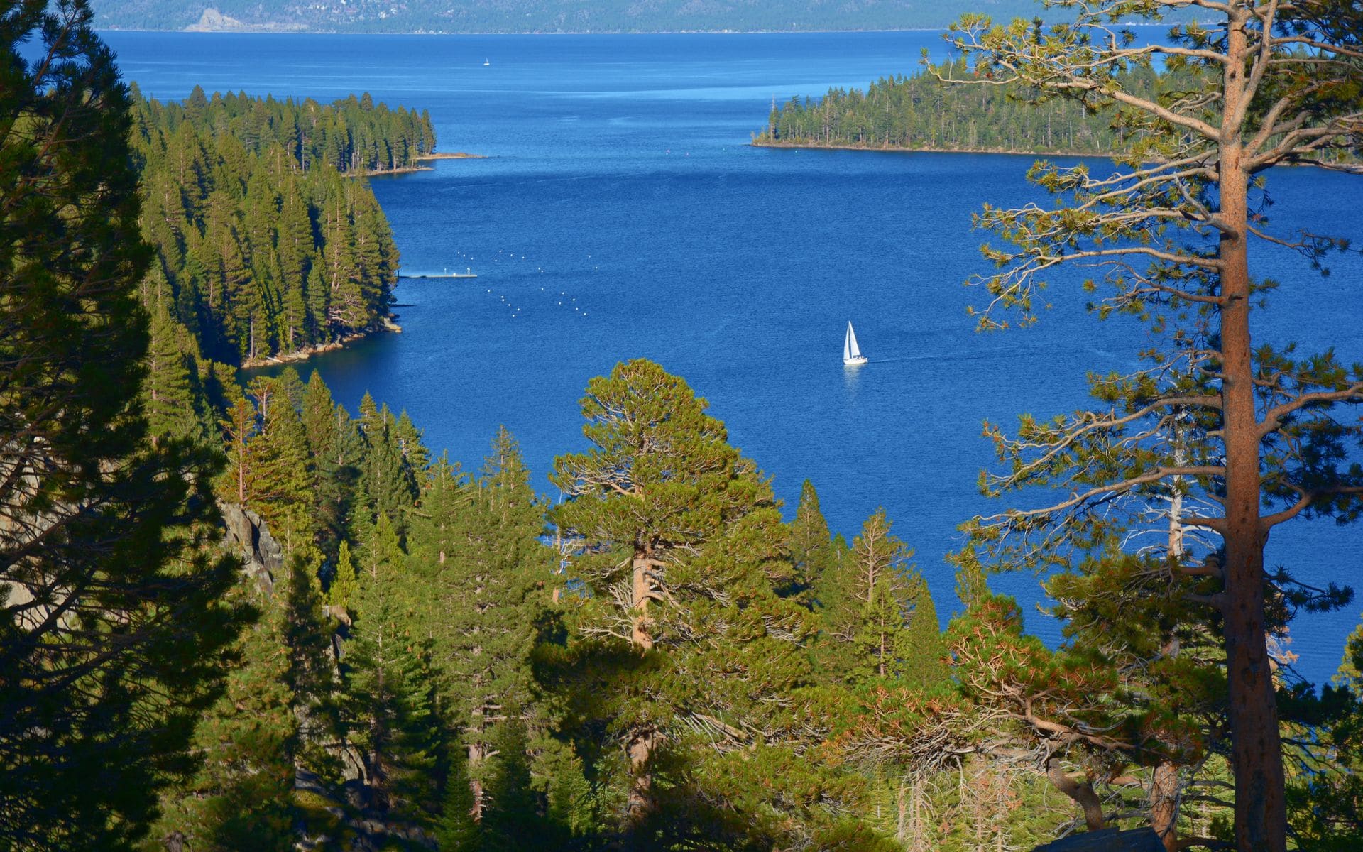 Emerald Bay at Lake Tahoe seen from the overlook, deep blue water and Fannette Island framed by pine-covered granite slopes.