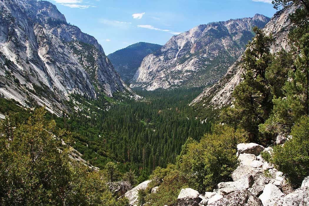 Kings Canyon valley from above, granite cliffs rising on both sides above a forested canyon floor in Kings Canyon National Park