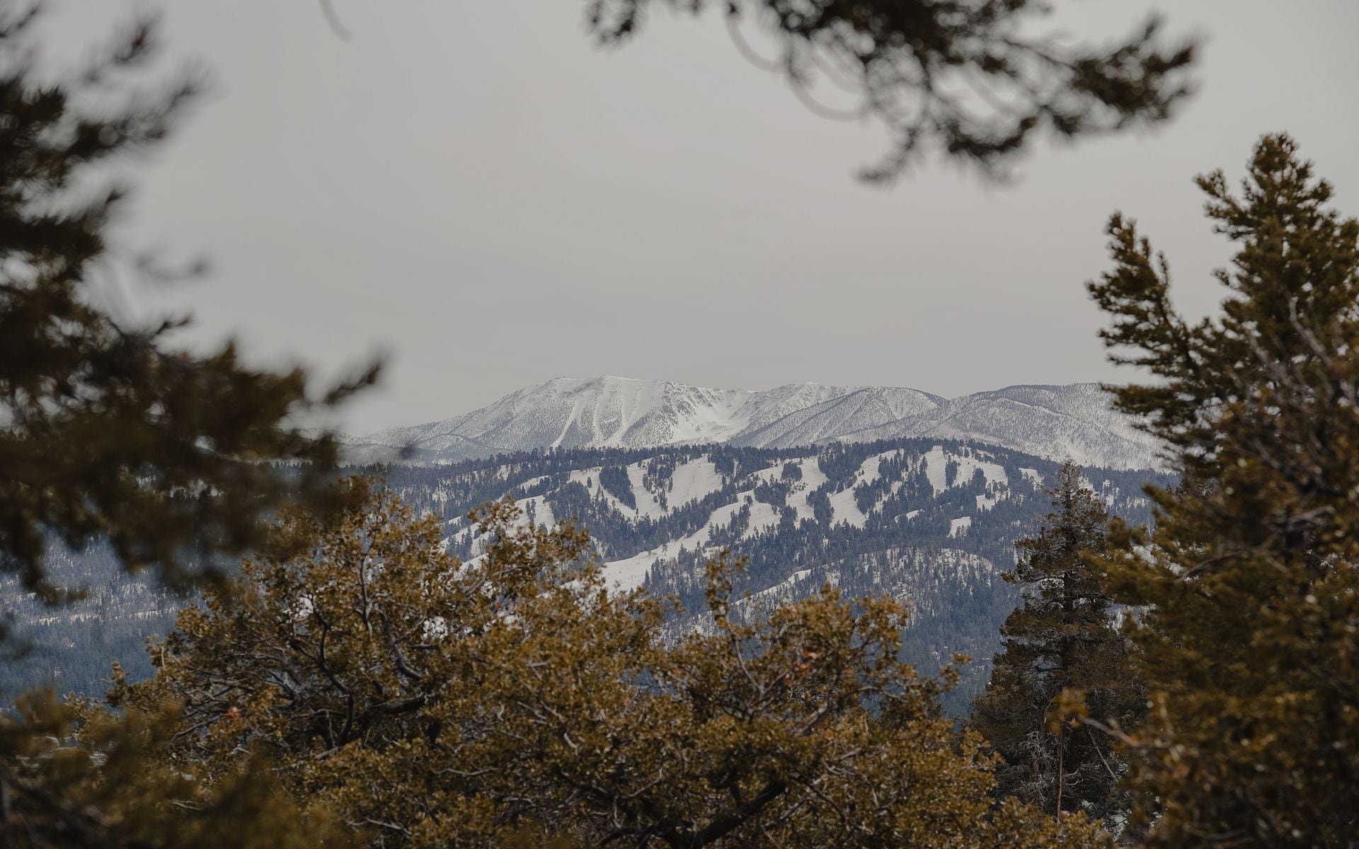 Best Ski Resorts in California in California