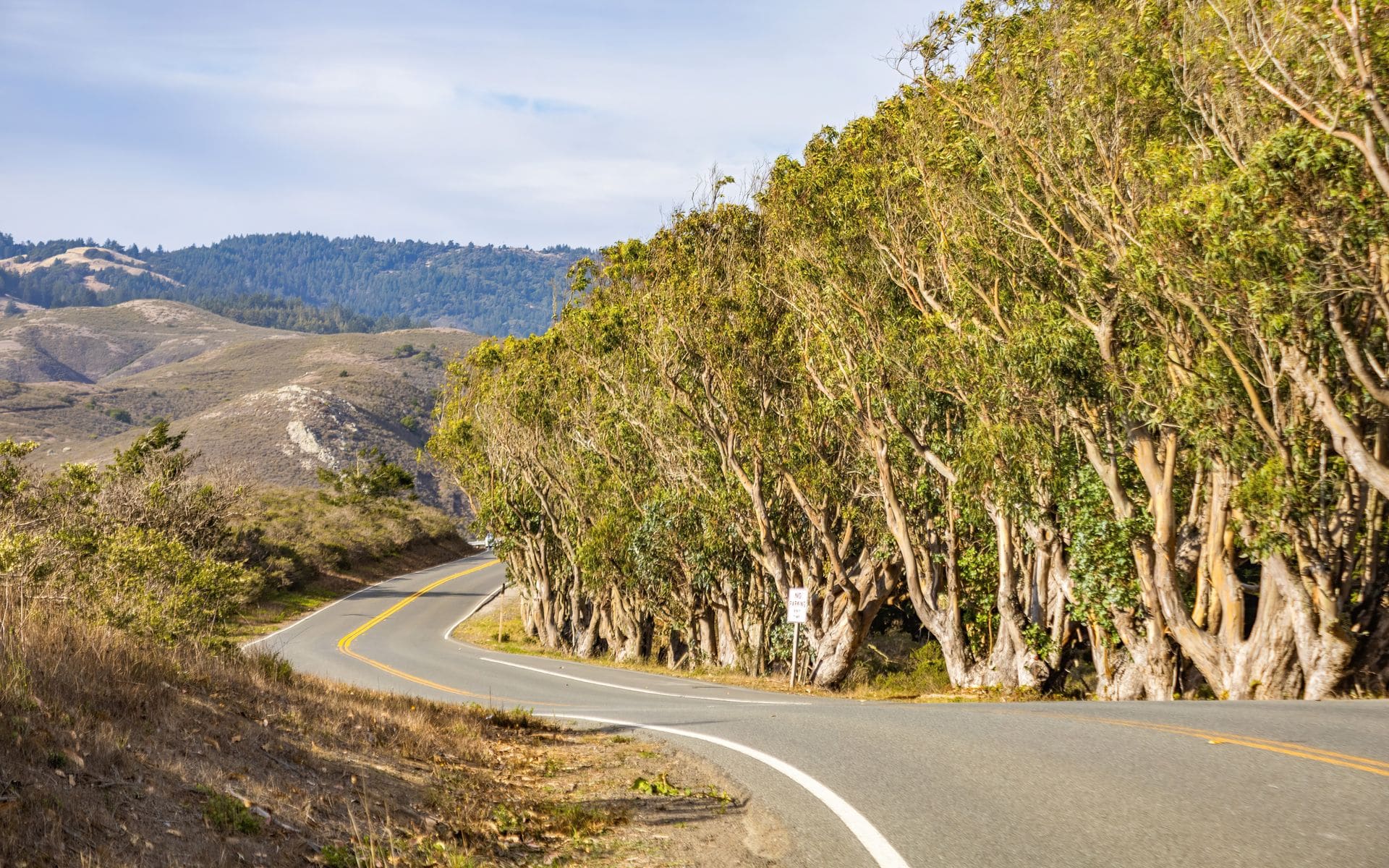 California National Parks Road Trip in California