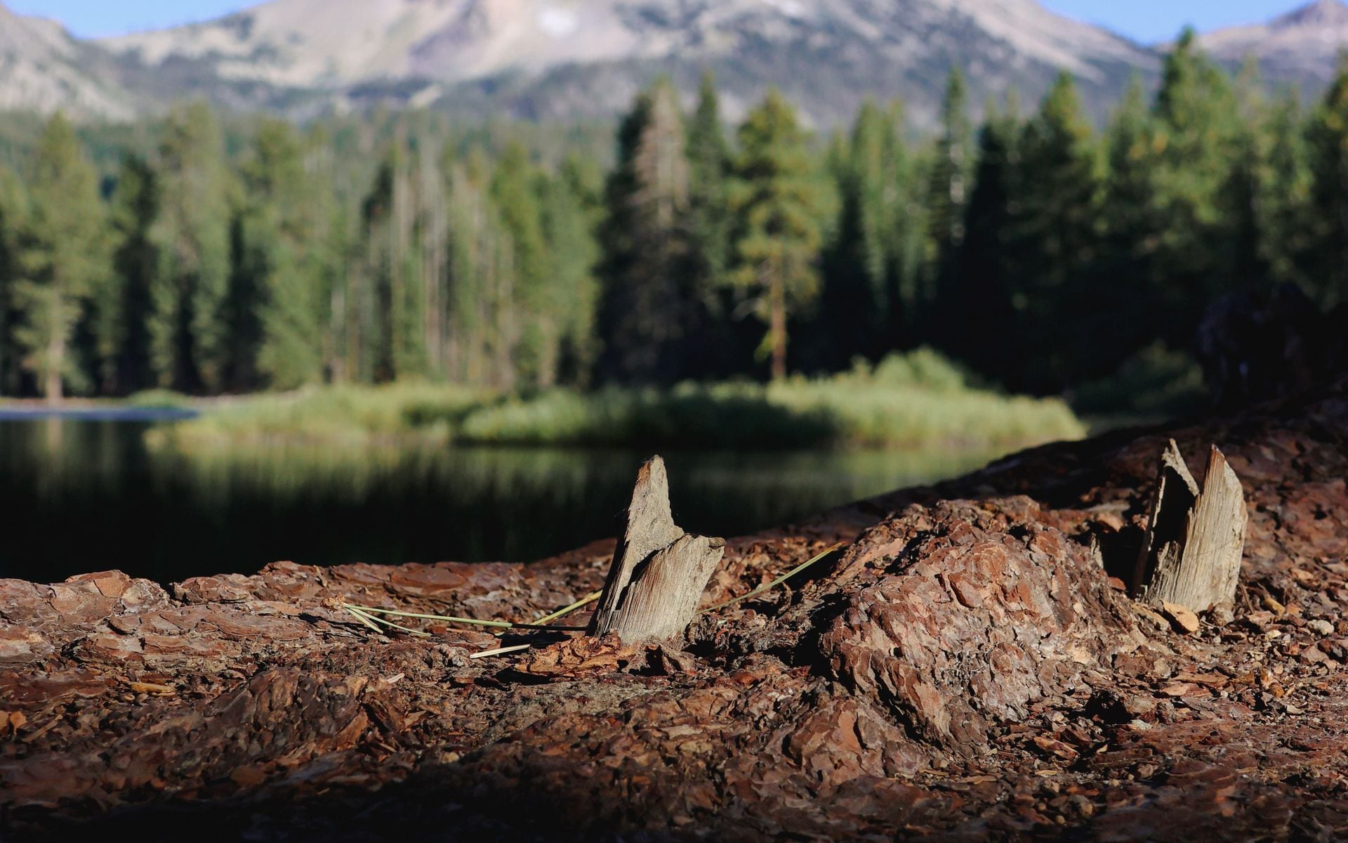 Lassen Volcanic National Park in California