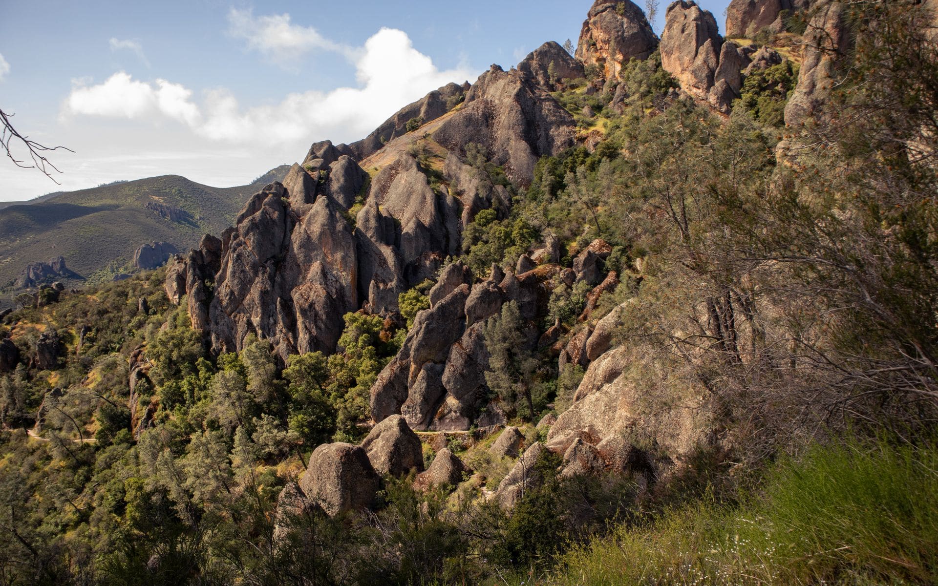 Pinnacles National Park in California