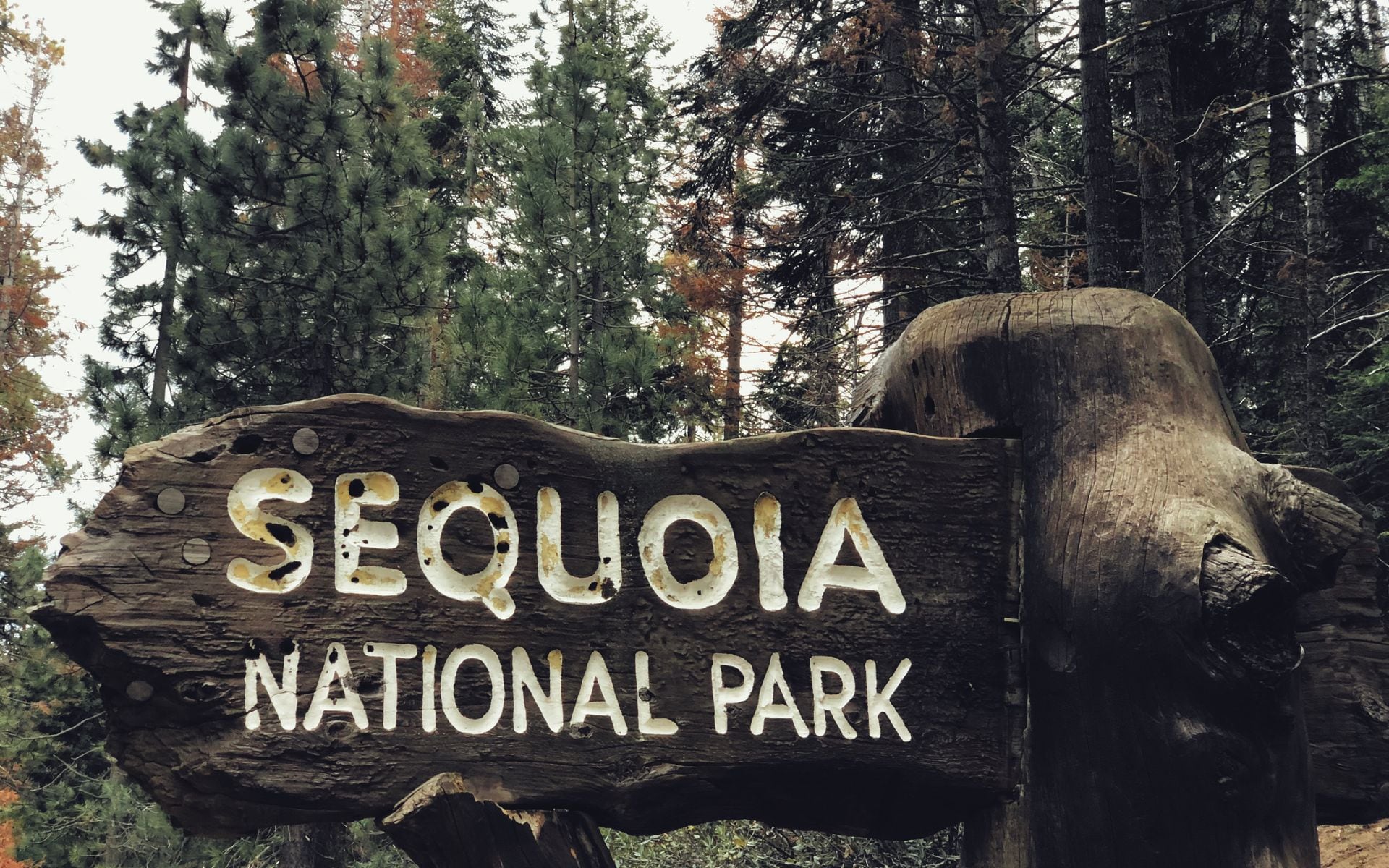 Sequoia National Park in California