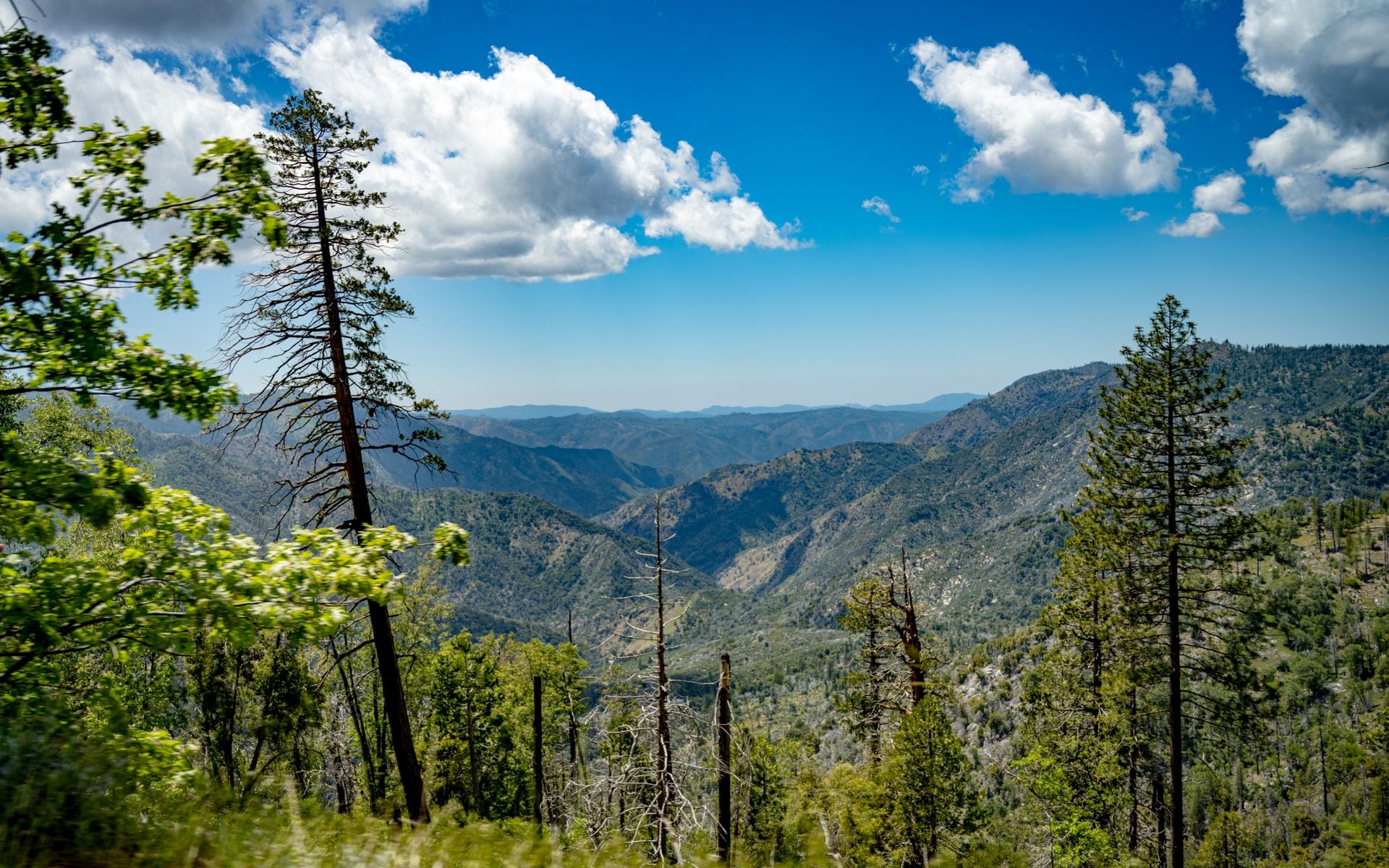 Best Time to Visit California in California