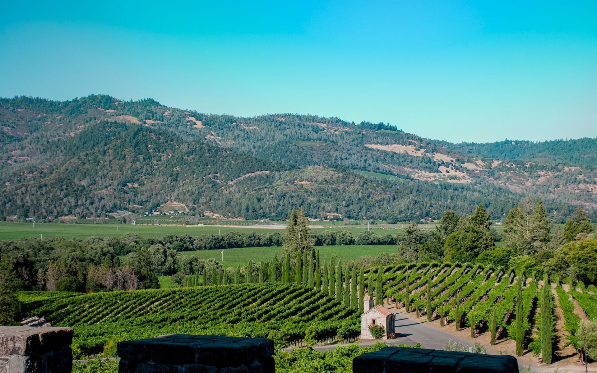 Wine Country in California