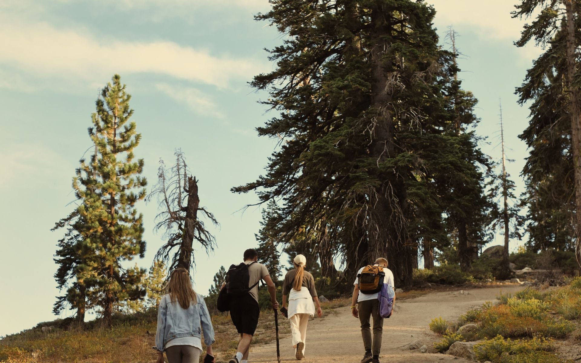 Hiking and Backpacking in California