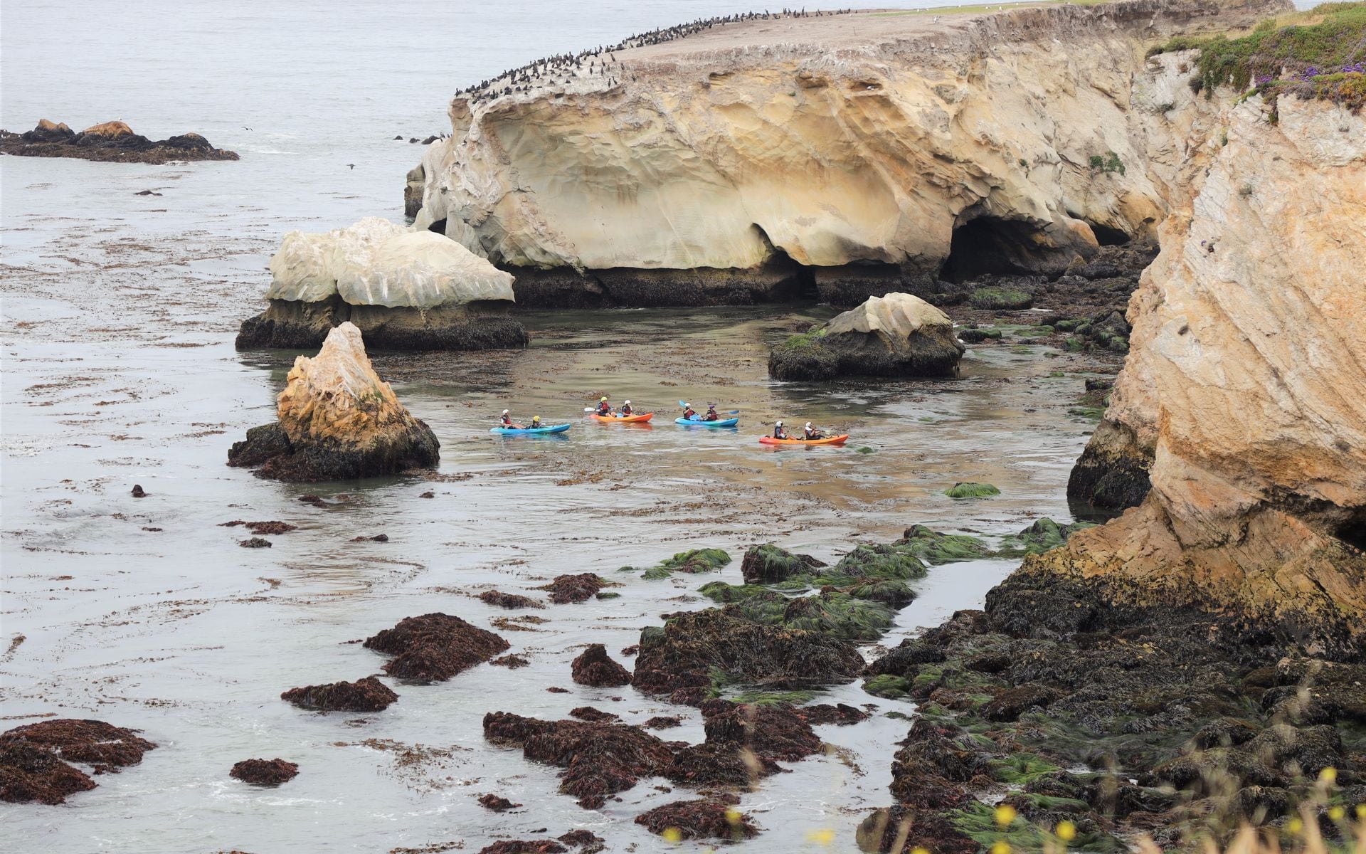 Kayaking and Paddling in California